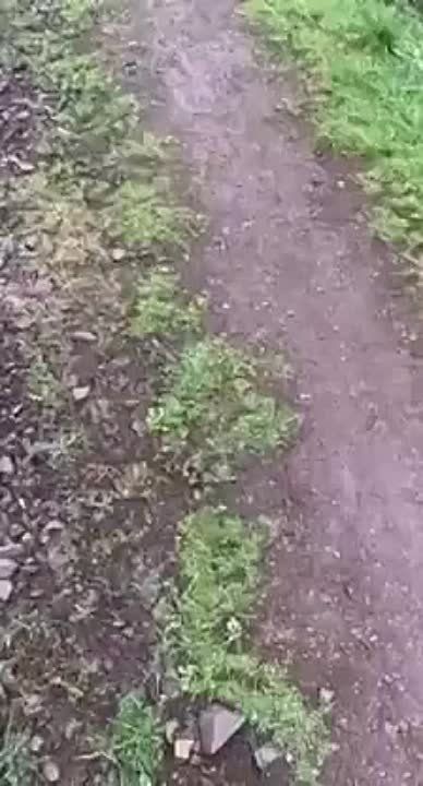 ������ �������: ������ � ���������� ����������� Volvo N10 (6�4) �� �������