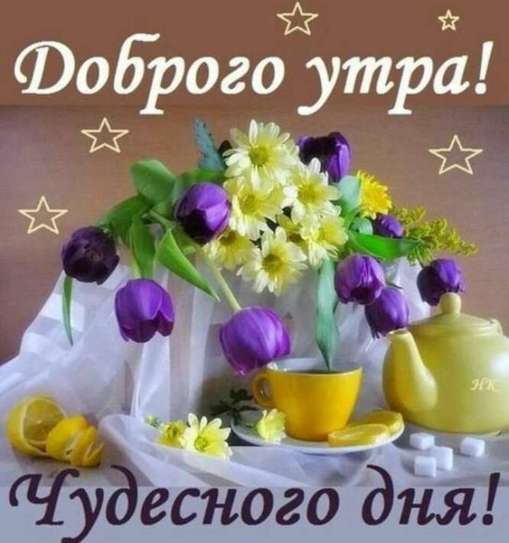 ������� �������: