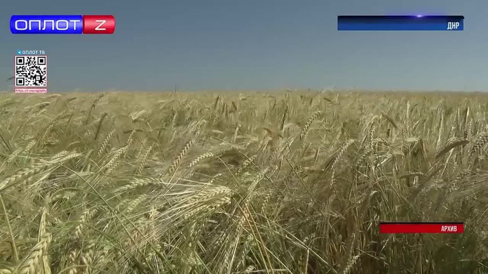 ��������� ��������: ����� �� ����� ����� � ���������� ���: ��� ��������� � ��������� ������?