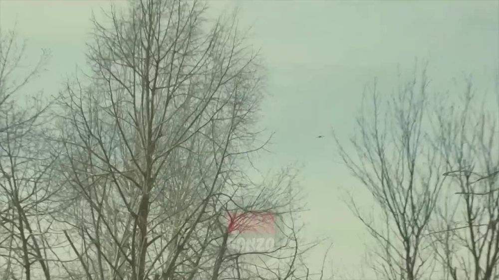 WarGonzo: �������� �������� ����� ������ ��� ���������