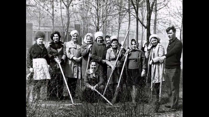 ������ �������: