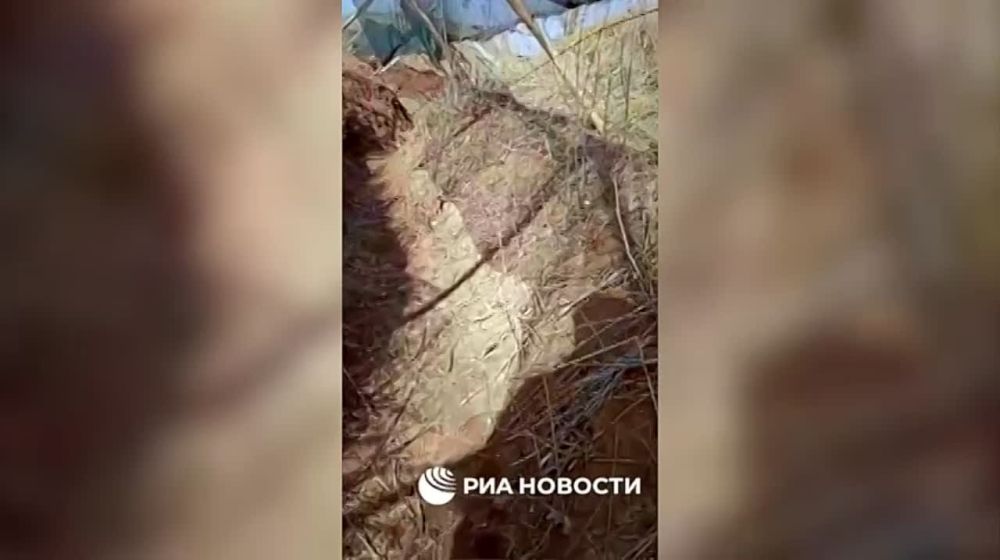 ����� ��������� ������� "�����" ���������� ������� ������������ �� �������� �����������