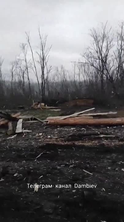 ������ �������: ������������ � ������ �������� ���������� ����-4320, ������������ ������������� ��� ���������� ���������������� ����������