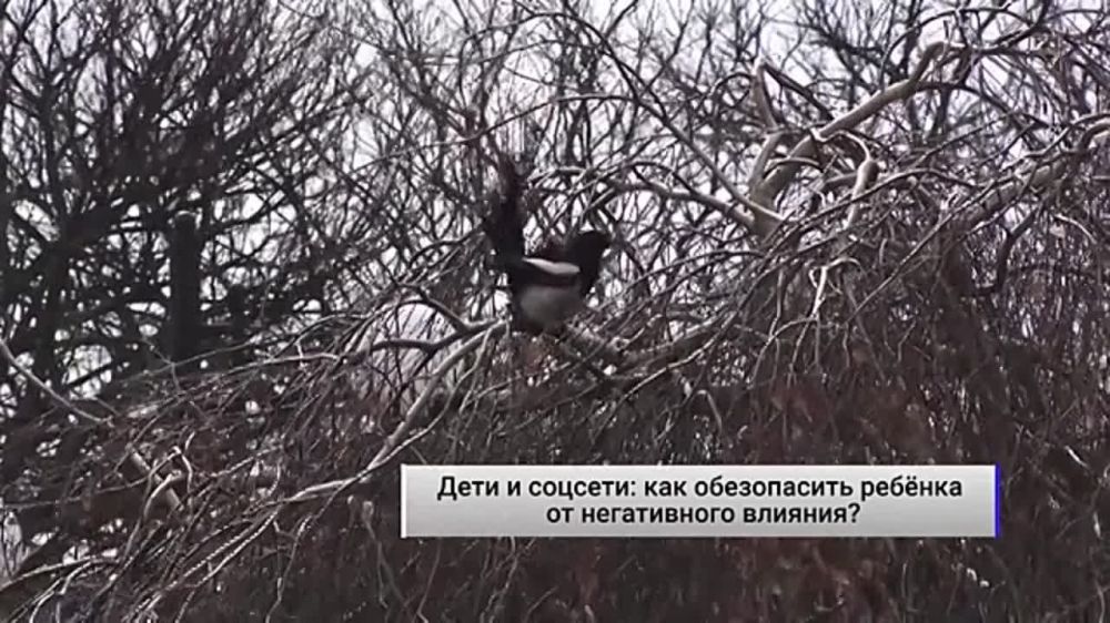 ���� � �������: ��� ����������� ������ �� ����������� �������? �������� ������