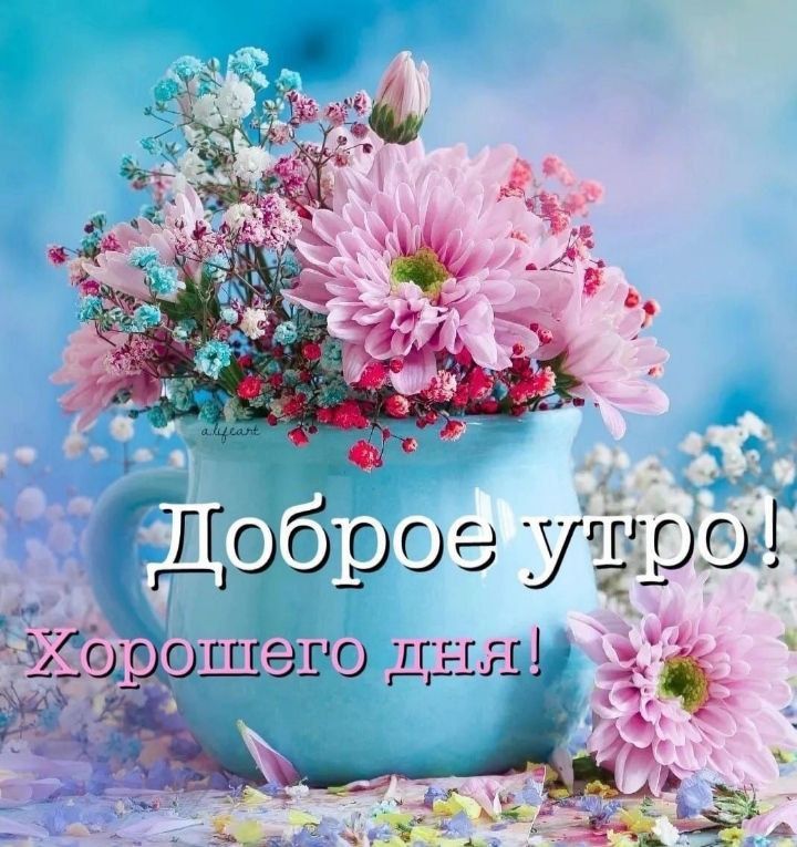 ������� �������:
