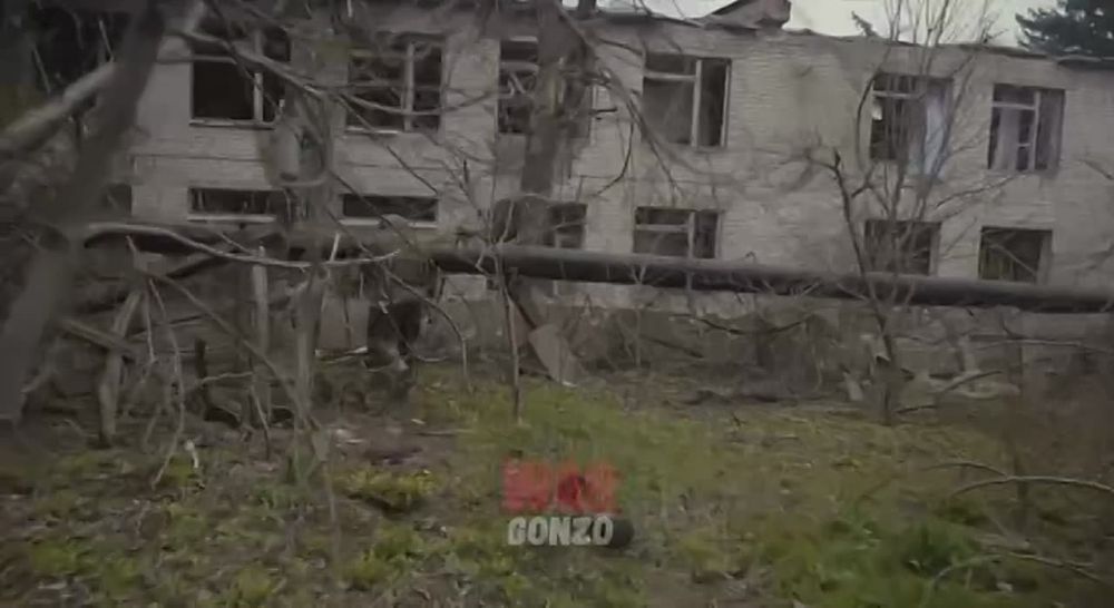 WarGonzo: ������������� ����� ��� �� ��-������ ���������