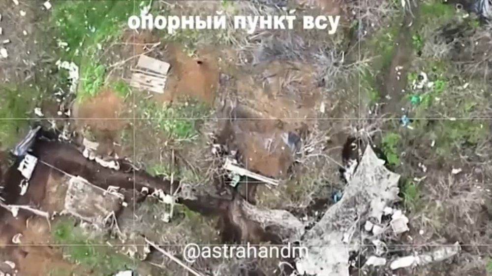 ������� ���������: ������ ������ �������� ������� ��� 101 �����