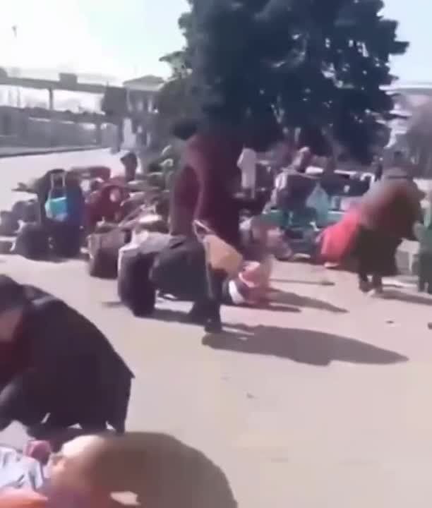 ��� ����� ������� ������, �������������������� ��������� ��������� ����������, ��������� �������� ������������