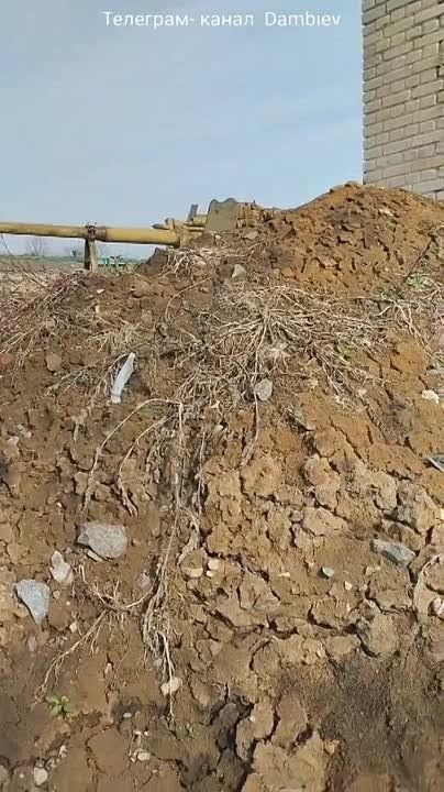 ������ �������: ��������� ���������������� 100-�� ������ ����������� �������� ��������� ��-19 ������� 1948 ���� �� ���������� ���������� ����� � ���� ���������� ���. C��� �� ������ ��� ������-����������������� ���������� ������� �����