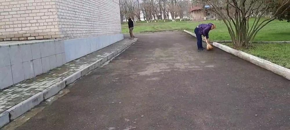 �������, 8 ������ � ���������� ������ �������� ������ ���������