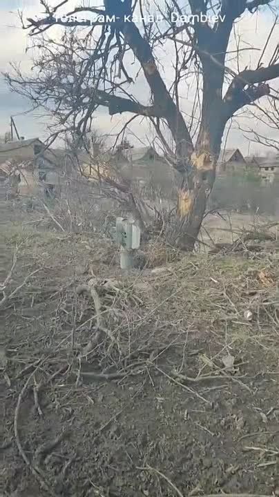 ������ �������: ��������� ������� �������������� ���, ���������� �� ���������� (�������) ������� ����� ��������