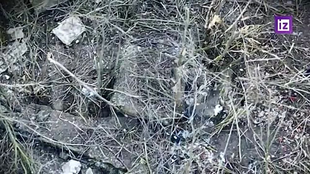 ��� � �����������: ����� ������ ���������� ������� �����