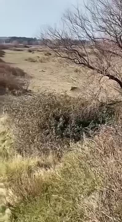 ����� � �������� � ���������� �������� �������� - ���!