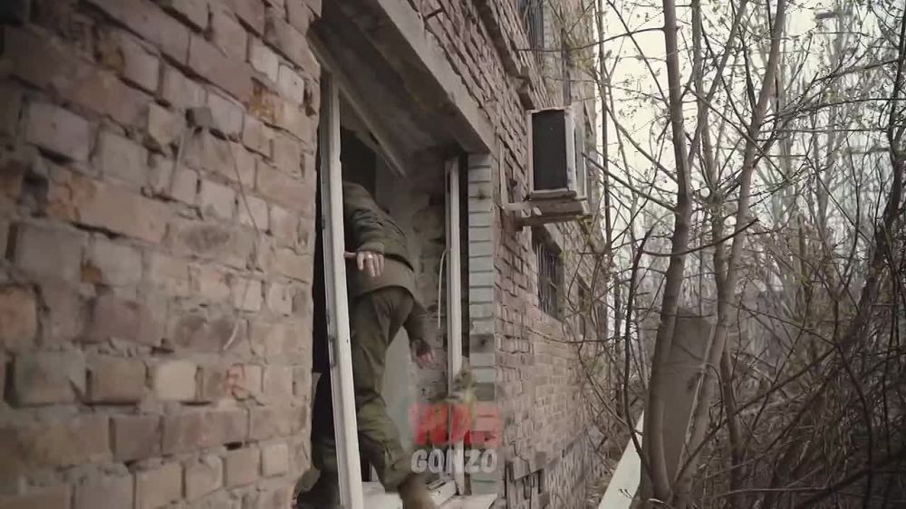 �������� ������ ������ �� ����������