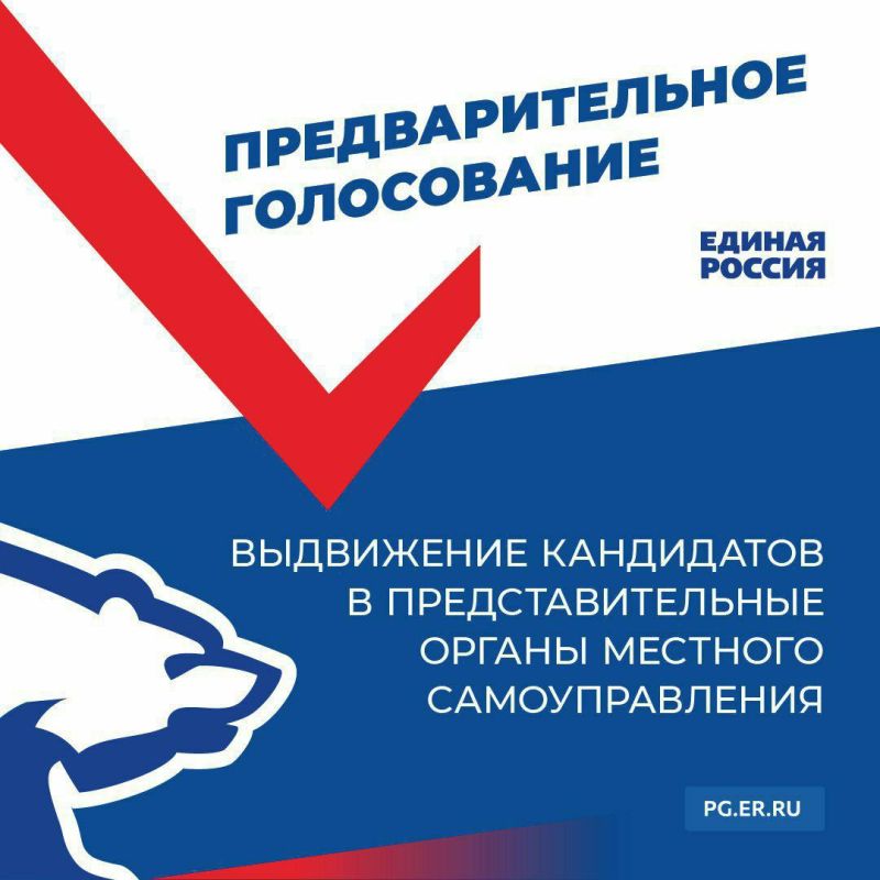 Руслан Дудников: Предварительное голосование: начинается выдвижение кандидатов в представительные органы местного самоуправления ДНР