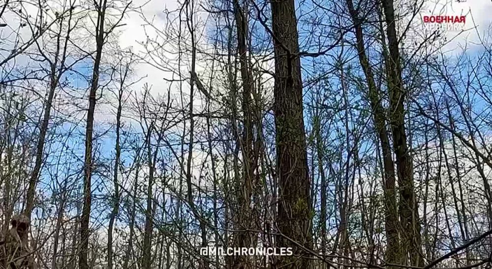 �� ����� � ��� � �����, ��� � ���� ����� ��������������� ������. ����� � ���������� � �������, � ������������ ���� � �������� ���