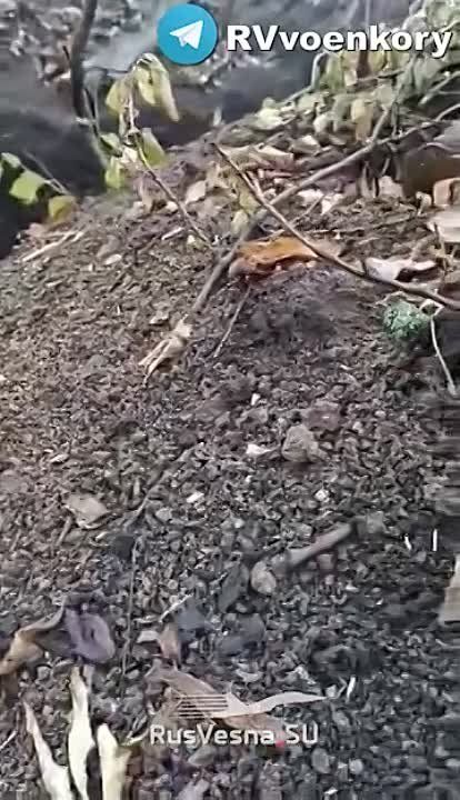 ����� � �������: ������� ������, ��� �������� ������������, ��� �� ���������� ���������� ������