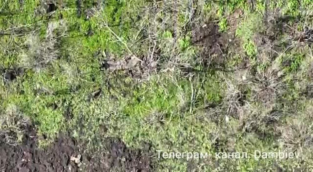 ������ �������: "���������" ������� ��� ��������� �� ����������� �����������