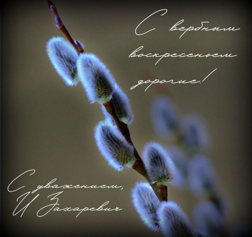 ����� ���������: @zakharevich_igor