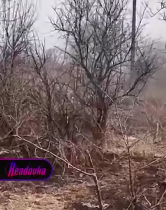 ���������� �������� ���������� ������ � ������� � ��������� ������ ������ ����� ����� � �� �������� ��������� ������