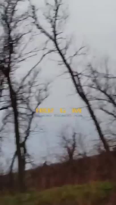 ���������� ������������ � ������ �������� �� ����-�������� �����������