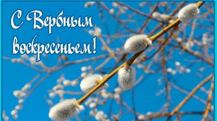 ����� �����: ������� ������! ���������� ��� � ������������ ���������� �������� �����������!