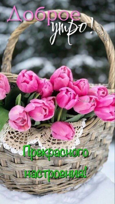 Доброго воскресного утра!