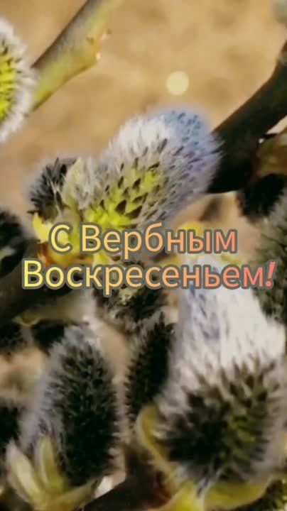 Руслан Дудников: С Праздником иловайчане!