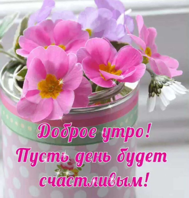 ������� �������: