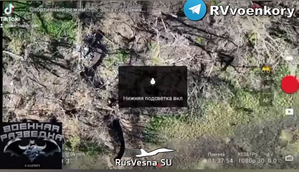 �� �������� ������ ������ ����� ������ Mavic �� ������ � ��������