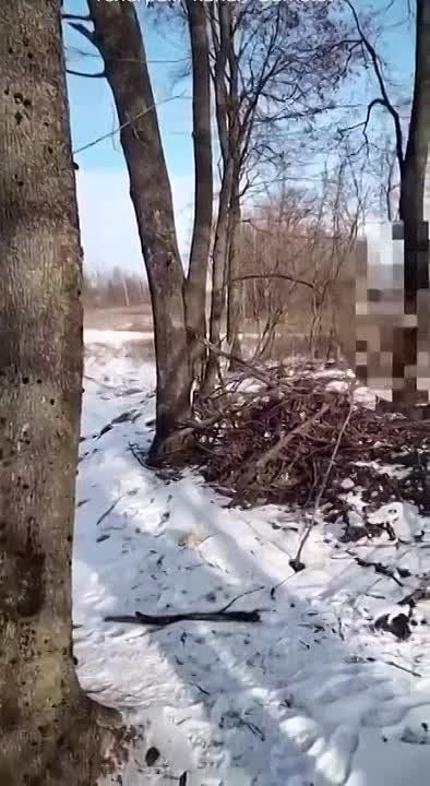 ������ �������: ������������ ����� ������ ������������ ���-29 � ��-27 ��� ������� � ����������, ���������������� � ���������������� �������