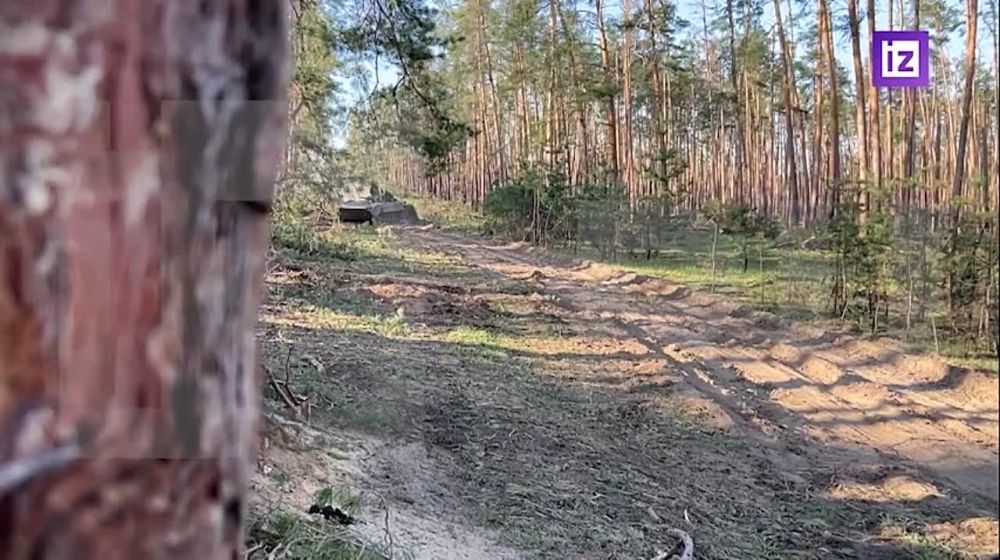 "������" � ���� � ������ �������������� ����� �����: ���������� ����� �� ��������� ������ ���. ��� ���������� ���������� ����������� ���������� ������������� �� ��������� �����������