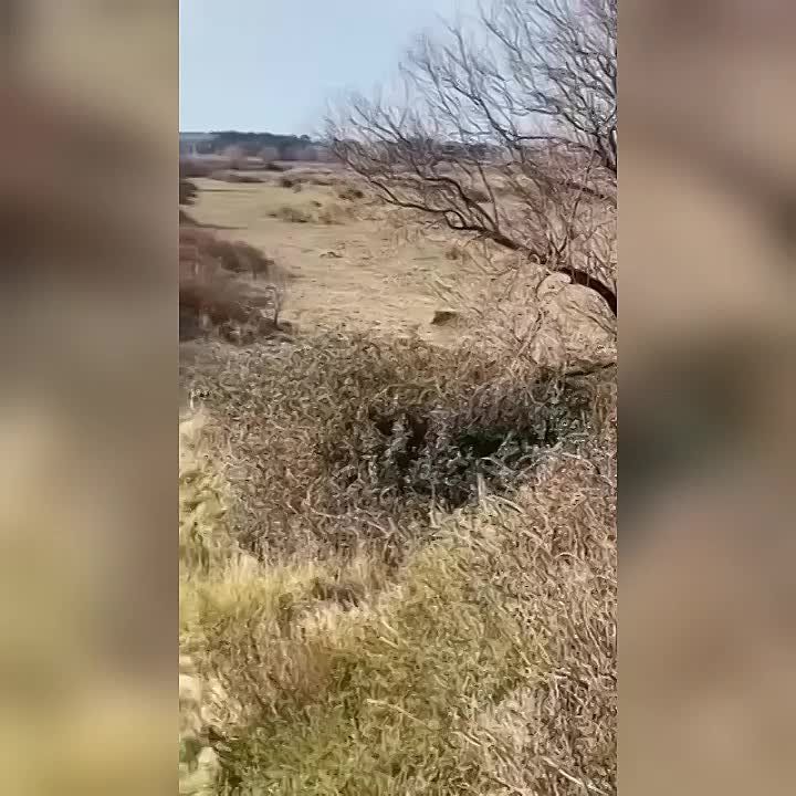 ������������ �����. ������� ��������� ����� ������ � �������� ������