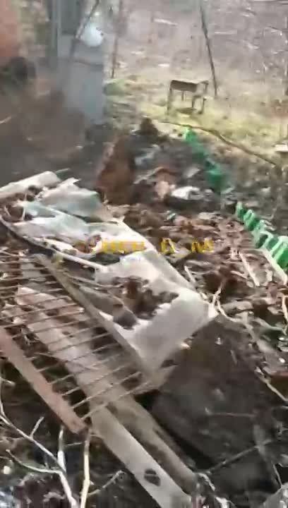 ��������� �������� ��������� ����� ���������� ������������� � ������ ��������