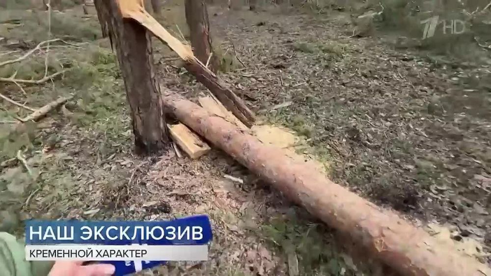 �������� �������� ������� ������ � ������ ����� ������ � ���� ��������� �� �������� 4-� �������