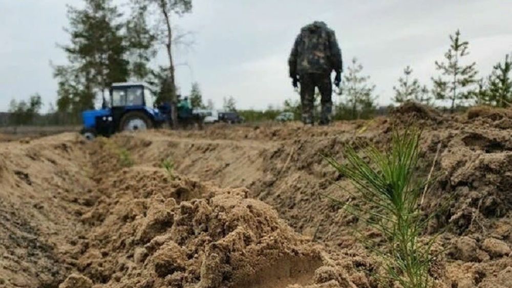 � ��� ��������� 100 ����� ������� ����� � ��� ��� �������������� �����