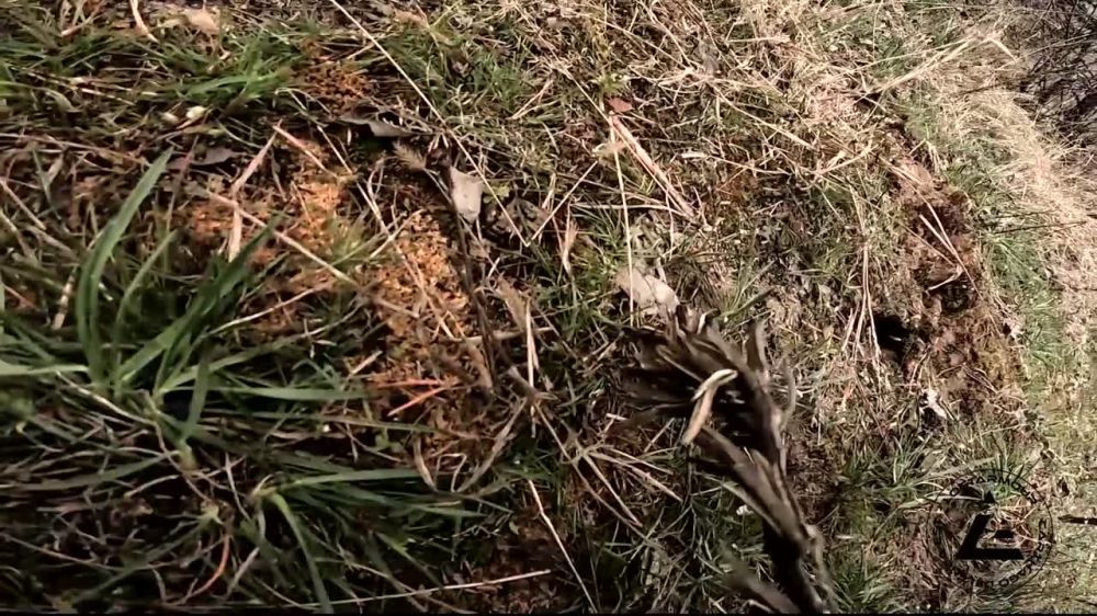 ������ �������: ��������� ������� ��������� ������������ �������� ������������ �������� ��� ���������� ���������, �������������� � ����, � ����� 2-200�, ������� �������� + 1-300�