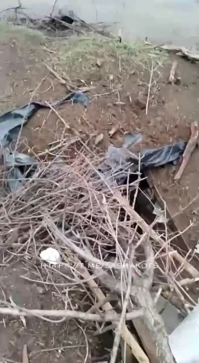 ��������� ���: ��������� �������, ������ ������ �� ���������� �����������