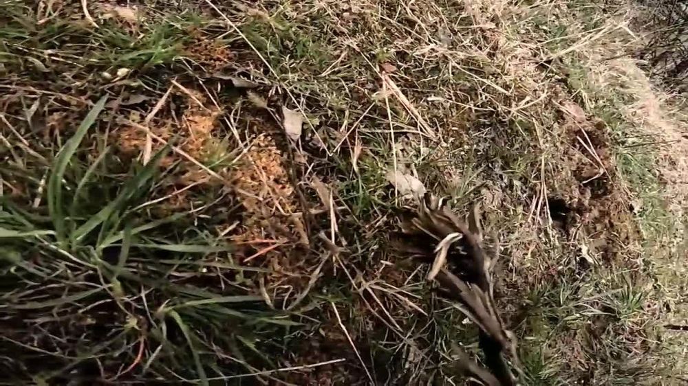 ��, ��@��! - ������ �������� �� ����������� ������