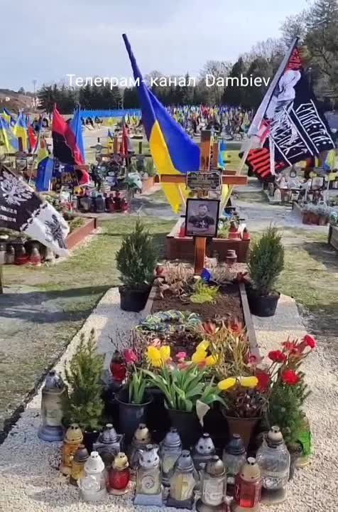 ������ �������: ��� ���� ����� ������ ������� ������������ �������� �� ������ ������������ �������������� ������� �������� ������������ � ���� ���������� ��� ��������� � ���������� �������������