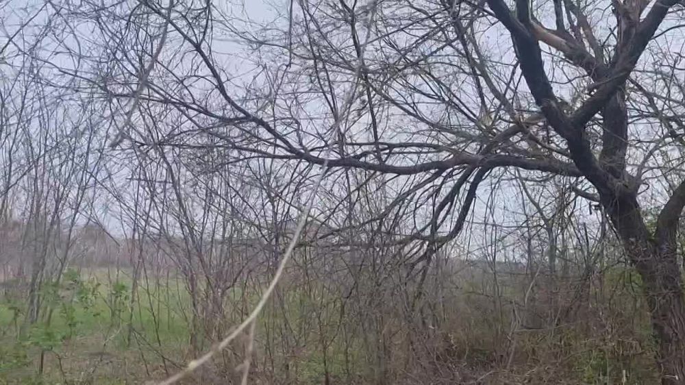 ��� ����� ���� �� �������. �������� 63 �������� �����