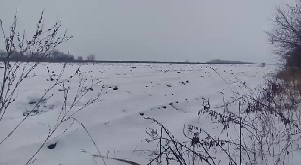 ������ �������: ������������ ����� �� �������� ���������� ����� ��� ���������