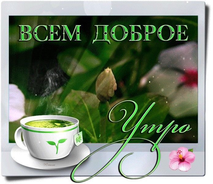 ������� �������:
