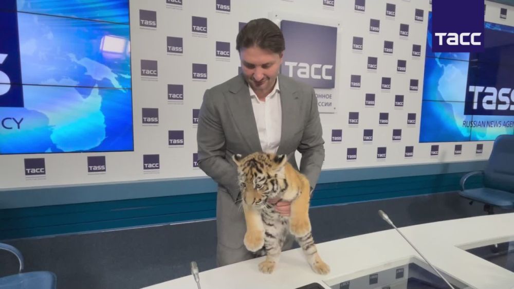 ������ �������� ���������� ������ ������� ����������� �����, �������� ���� ������������� �� �������������� ��������