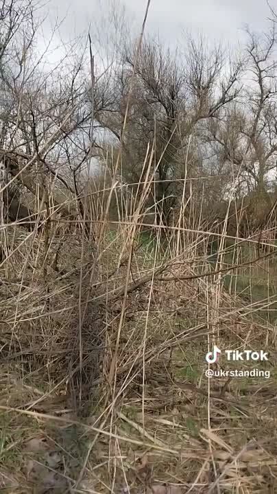 �������� �� �� ������ ����� �� ����� �������, ������ ������ ��������� �� ������ ����������, ���������������� � ������� ������������, �� � ��������� �����