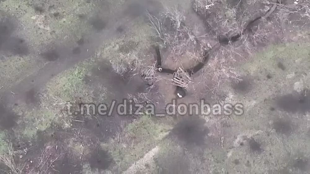 ������ ���������: ��������� �������� 114 ����� ���������� ����� ��������� �� �� ���������, � ��� ���������� ��������� ����� �� ���������� �����������