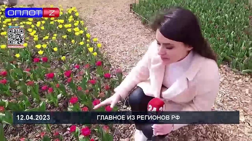 ����� ��������� � �����! ��������� ���������� ���� 24 � ��������� ����� �� ����� ��