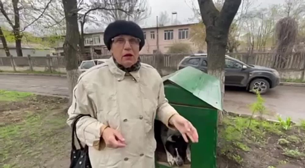 � ���� ����� 52 � ��������� - ���� ���� ����� ��������