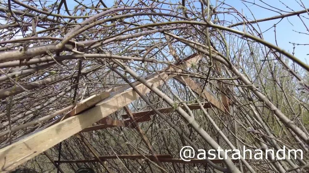 ������� ���������: ������ ������������� ��������� ������� �� ���������� �����������