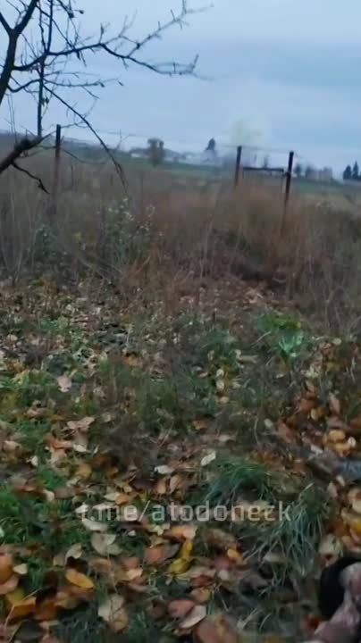 �� ������ ������ �������� ����������, ��� ������ �������� ���������� ����������